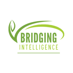 bridgingintelligence